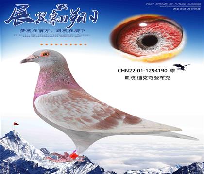 迪克凡登布克190