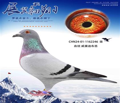 威廉迪布恩墨菲定律全兄弟作出246