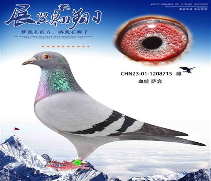 短跑之王薩賓715