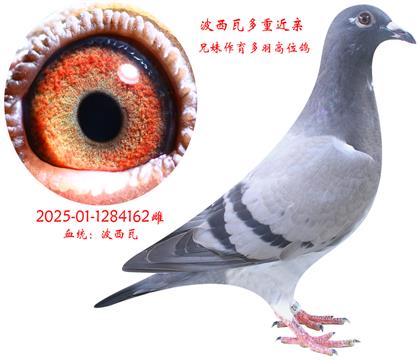 162