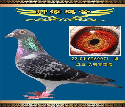 長城零缺陷
