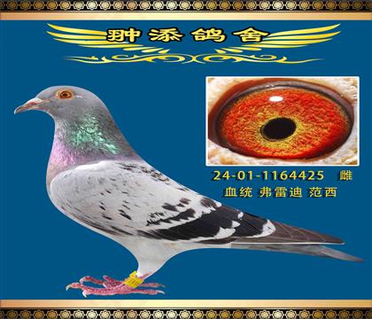 弗雷迪范西兄弟速霸龍