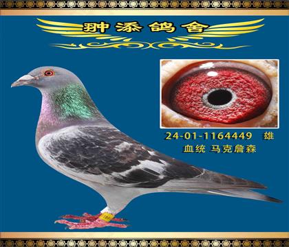 馬克詹森449