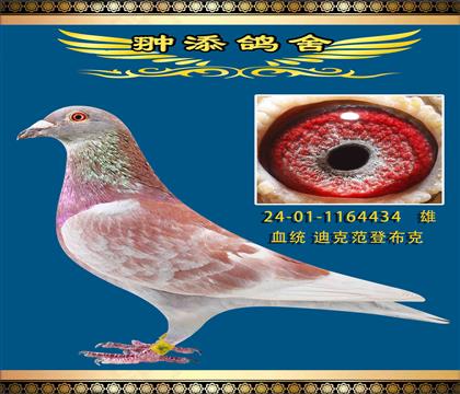 迪克凡登布克434