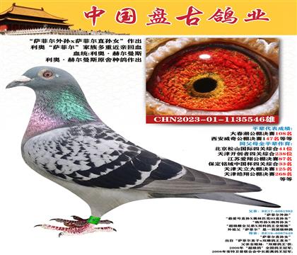 金環(huán):血統(tǒng)”利奧·赫爾曼斯“