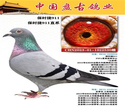 金環(huán):保時(shí)捷911直系