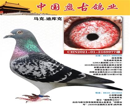金環(huán):馬克.迪庫(kù)克