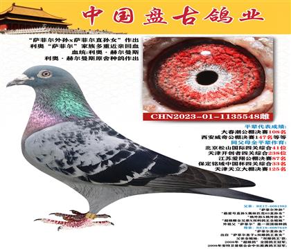 金環(huán):利奧.赫爾曼斯“薩菲爾外孫”