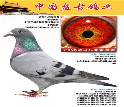 金環(huán):史蒂芬.蘭布瑞契