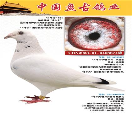 金環(huán):“斗牛犬”874