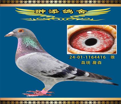 詹森戰(zhàn)神配無環(huán)金姆作出