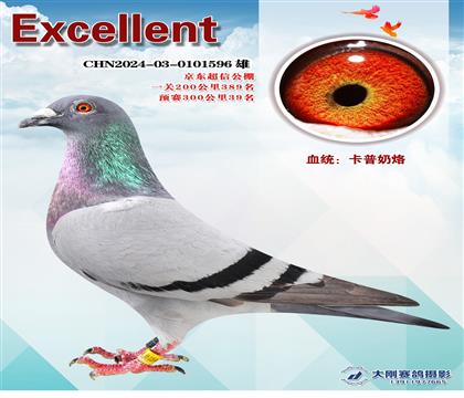 公棚一關(guān)上岸神器