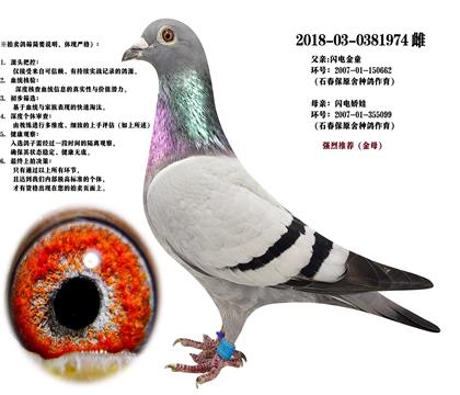 ]ʯW늋ޡĸ
