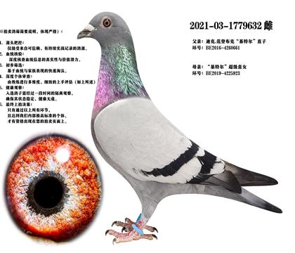 ǲˡؠֱO