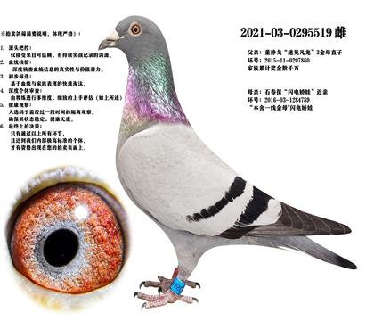 oꡰҊXʯɣʿW늋ޡ