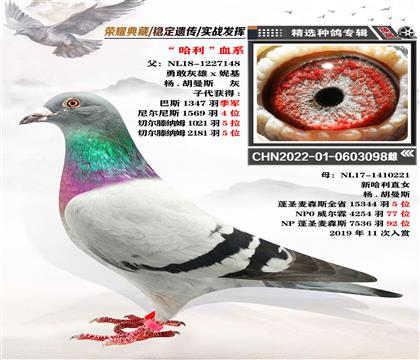 NѪϵ