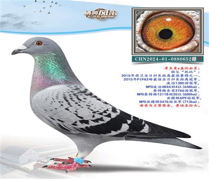 һِXw652