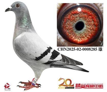 奶酪”098“直子配”204“直女