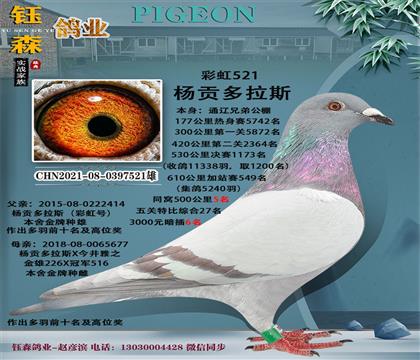 ʺ̖(ho)-ֵܹ@(jing)