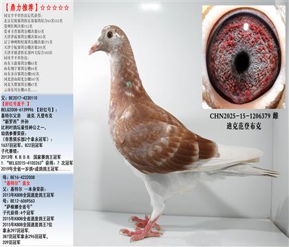 ǲˡütֱ̖ӡؠֱŮ