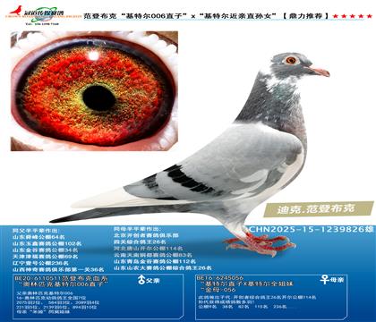ǲˡؠ006ֱӡxؠHֱOŮ