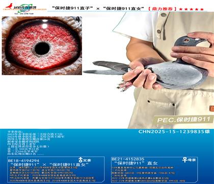 r911ֱӡxr911ֱŮ