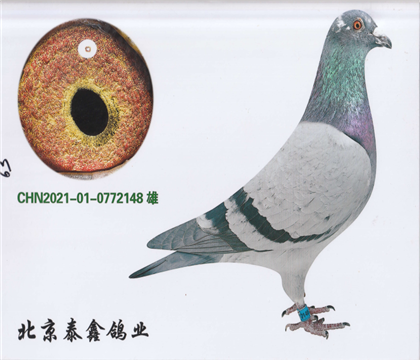 5.5000رȭh(hun)Ժ(ni)P(gun)14