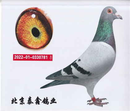 10._(chung)P(gun)Cϼ܊ƽ݅