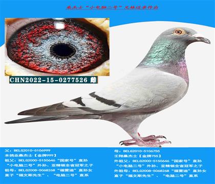 (多關(guān)賽首推)桑杰士“小電腦二號”直系