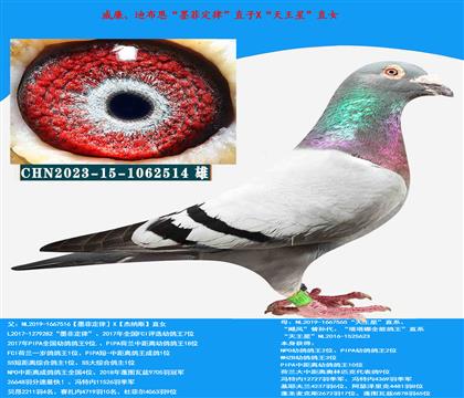 威廉迪布恩“墨菲定律”直子X“天王星”直女