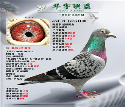 Ů Ӵ