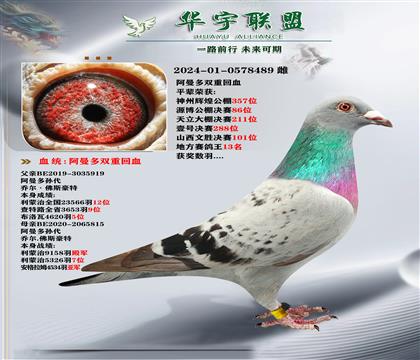  ೬ǿѪ