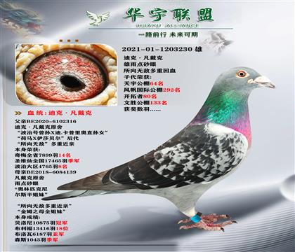 Ͽ˷ ޵жػѪ