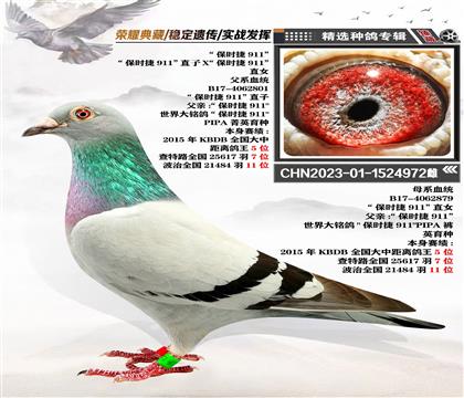 r911ֱϵ