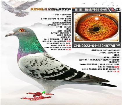ǪHѪ