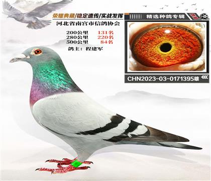 28-2023-03-0171395