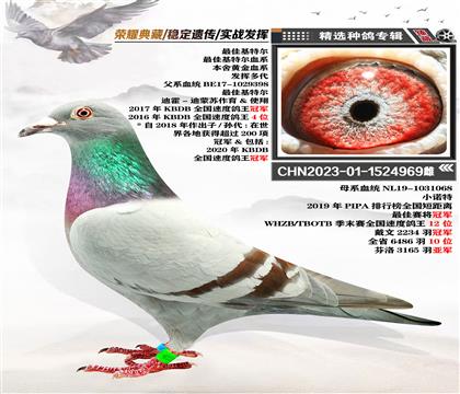 SѪϵѻؠѪϵ
