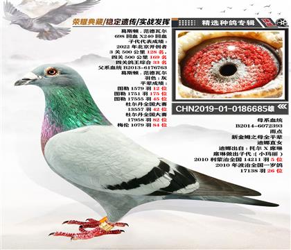 ˹D.ߠ 698ѪX240Ѫ