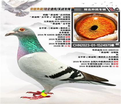 ҡ½ķHѪ