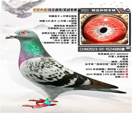 ֱXǪȫ