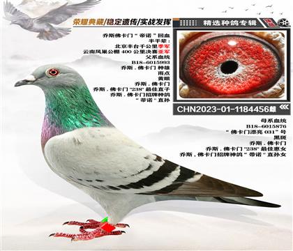˹TZѪ 456