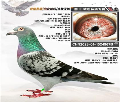 ˹TZѪ