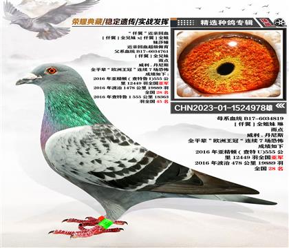 NǪHѪ 978