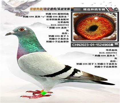N698Ѫ