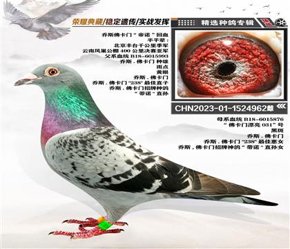 N˹TZѪ