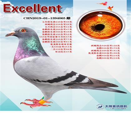 γɿ