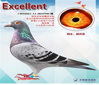 _꠳ɿ