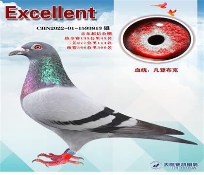 Ź̾xλ