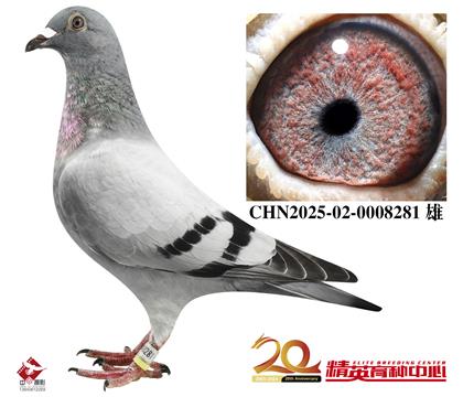 240峬ֱ