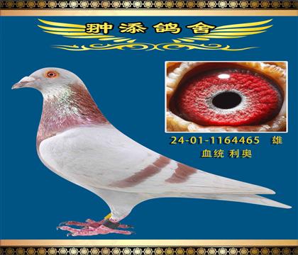 һP(gun)ϰ465